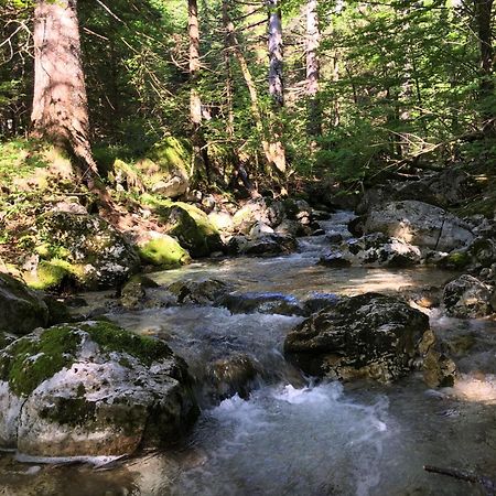 Cozy Private Cabin In The Heart Of Triglav National Park Трента Екстер'єр фото