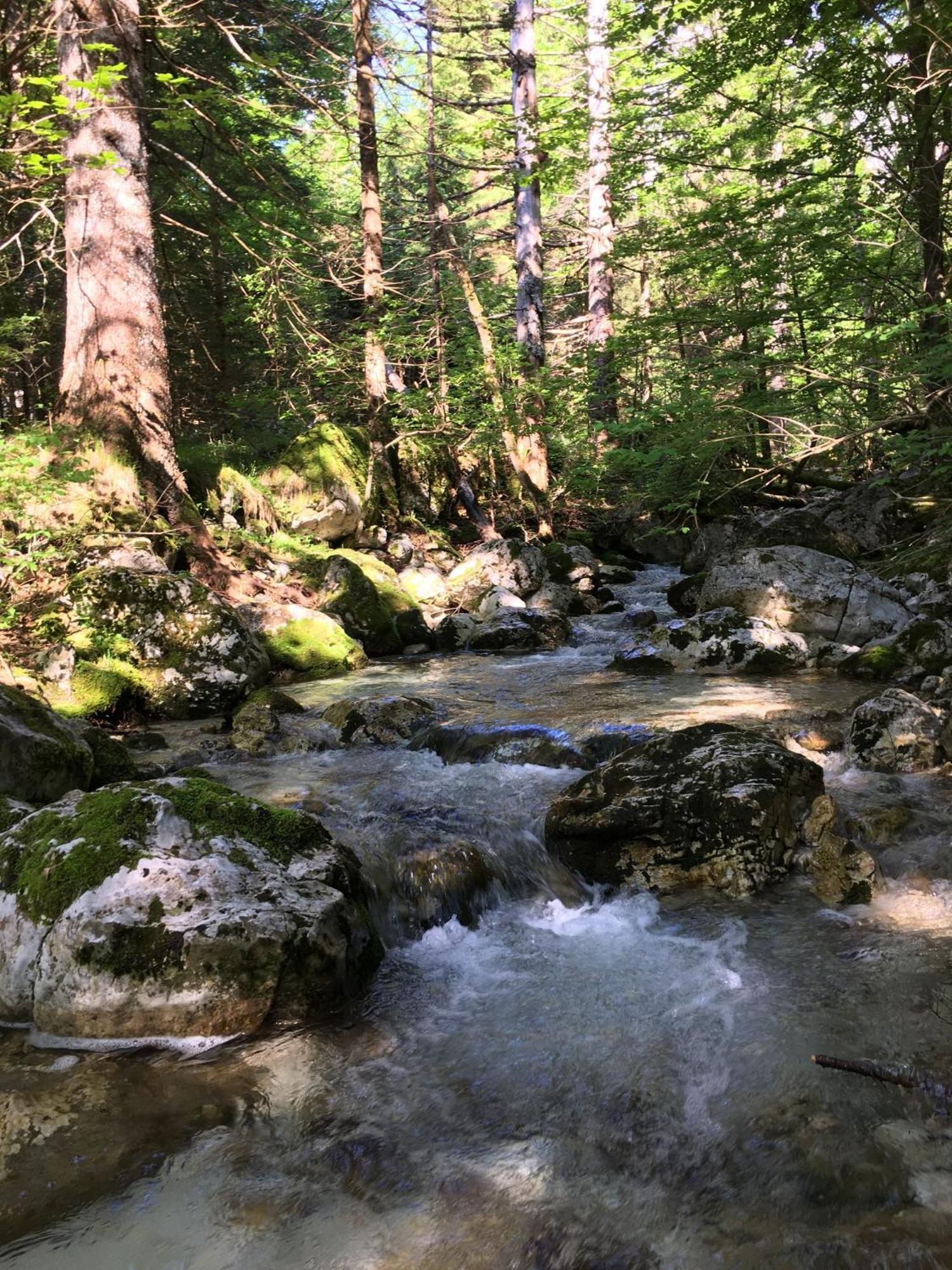 Cozy Private Cabin In The Heart Of Triglav National Park Трента Екстер'єр фото